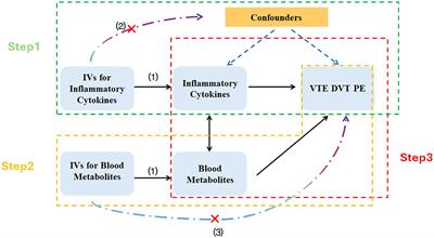 Potential causal relationships between blood metabolites, inflammatory cytokines, and venous thromboembolism